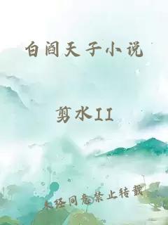 白阎天子小说