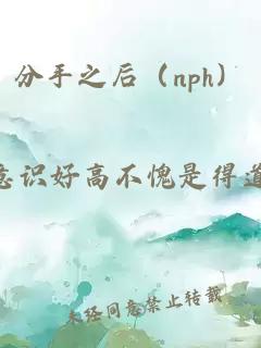 分手之后（nph）