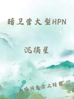 暗卫营大型HPN