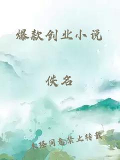 爆款创业小说