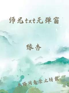 师兄txt无弹窗