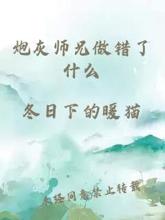 炮灰师兄做错了什么