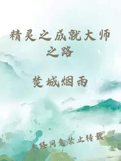 精灵之成就大师之路