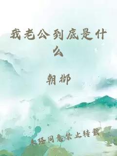 我老公到底是什么