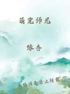 萌宠师兄