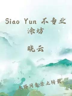 Siao Yun 不专业涂坊