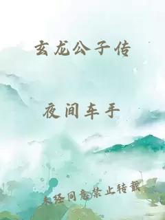 玄龙公子传