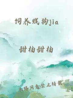 饲养贱狗jia