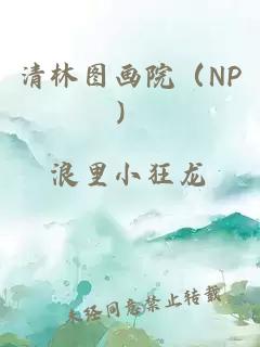 清林图画院（NP）