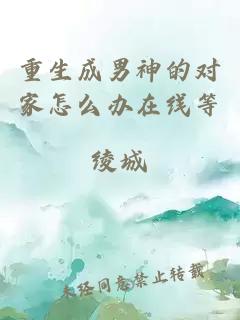 重生成男神的对家怎么办在线等