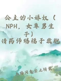 公主的小娇奴（NPH，女尊男生子）